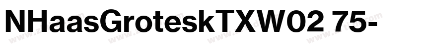 NHaasGroteskTXW02 75字体转换 NHaasGroteskTXW02 75字体转换